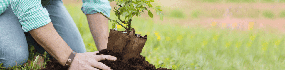 Arbor Day Foundation Partnership