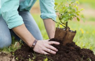 Arbor-Day-Foundation-0823-Teaser.png